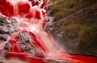 揭秘血色湖泊：你知道它们为何如此鲜红吗？