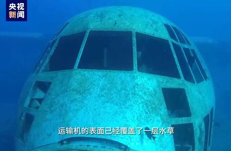 中东奇闻：飞机坦克上的珊瑚世界，探秘海底军事博物馆