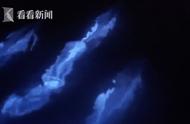 梦幻般的场景：摄影师捕捉到荧光海豚在海水中欢快游玩