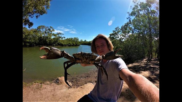 难怪澳洲人不稀罕大闸蟹，比脸大的泥蟹遍地走！